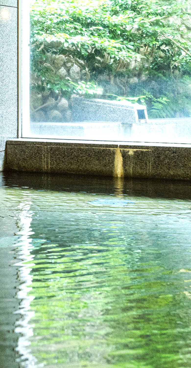 天然温泉 憩いの宿 河内長野荘 大阪市内から電車に乗って、わずか 30分 ちかくて ふかい「奥河内」へ、癒し旅